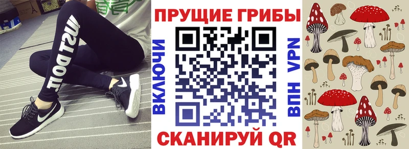 Галлюциногенные грибы Cubensis  Высоцк 