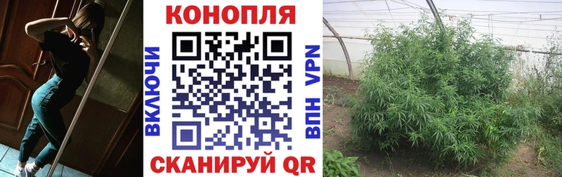 дарнет шоп  гидра ТОР  Конопля Amnesia  Высоцк 